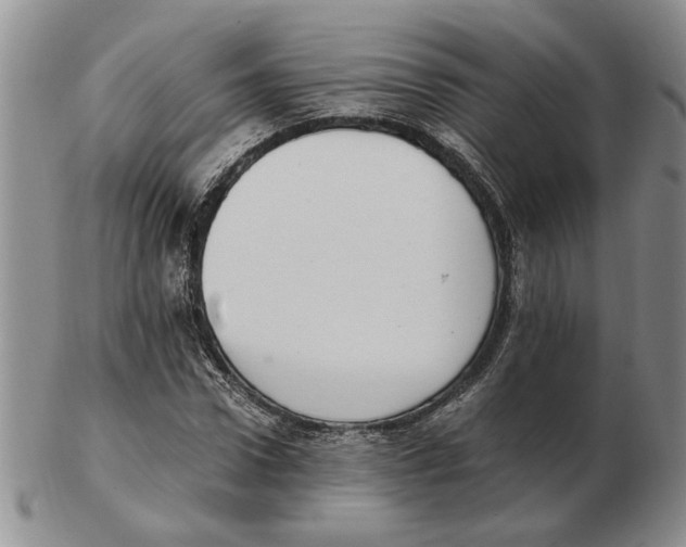 X0000102760922200809151010