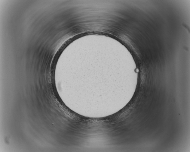 X0000102760924200809151010