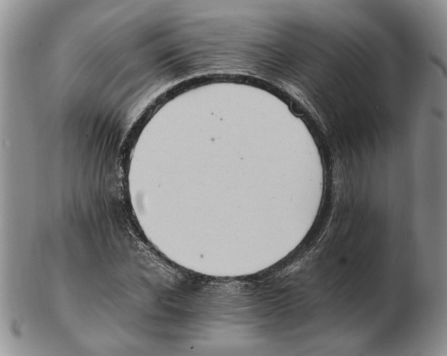 X0000102760926200809151010