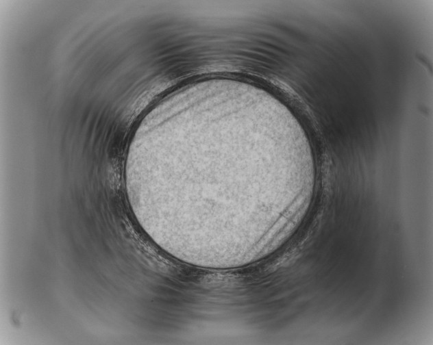 X0000102760929200809151010