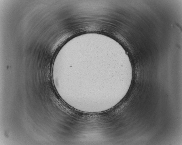 X0000102760930200809151010