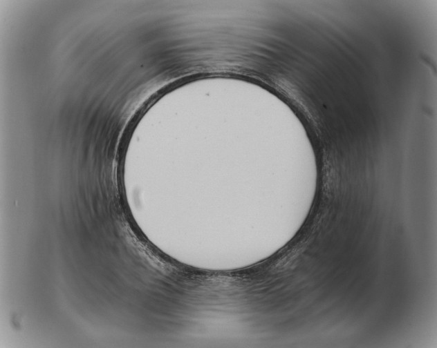 X0000102760932200809151010