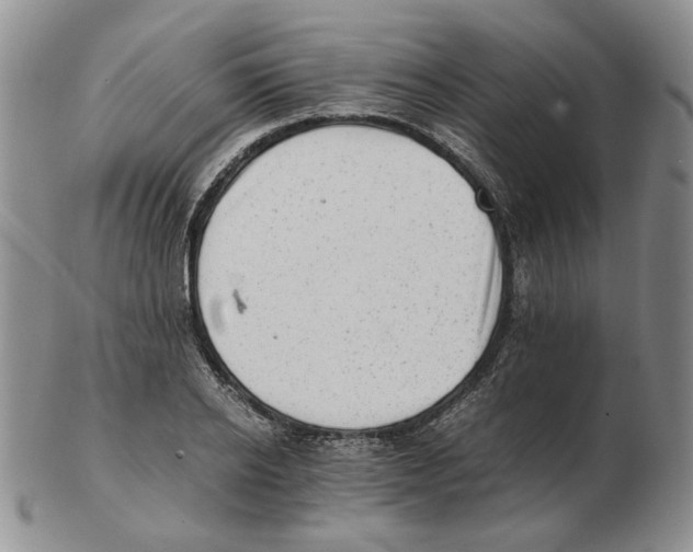 X0000102760934200809151010