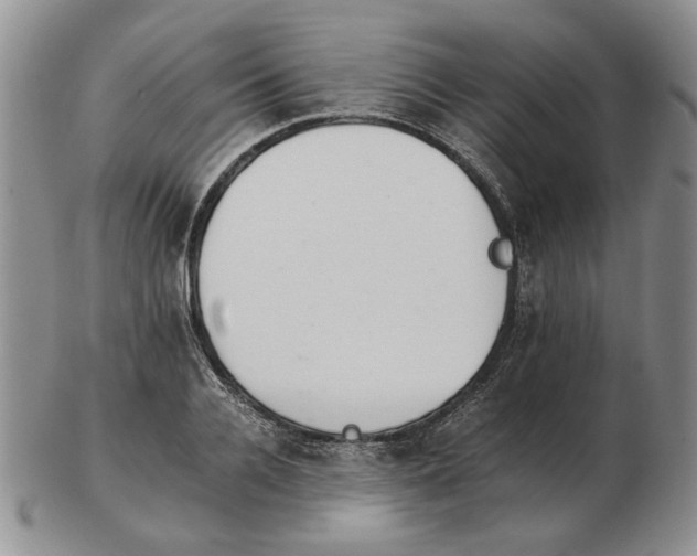 X0000102760936200809151010