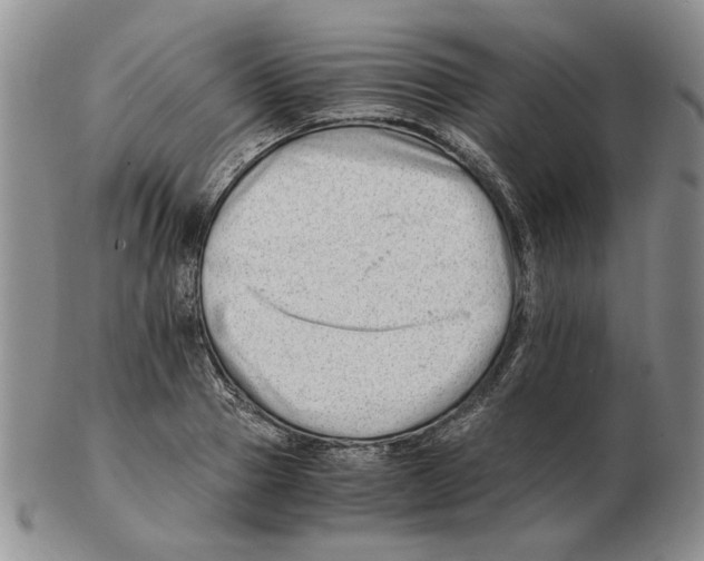 X0000102760937200809151010