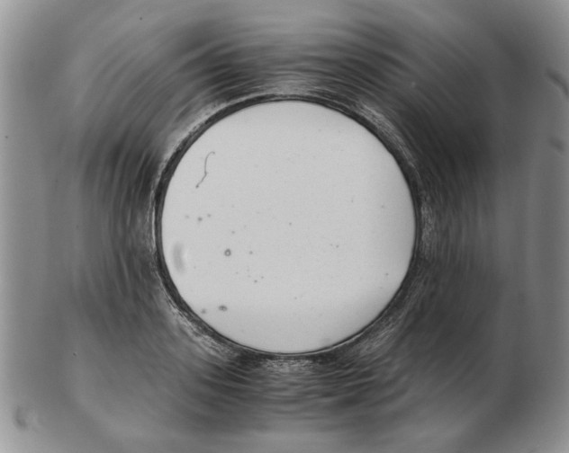 X0000102760939200809151010