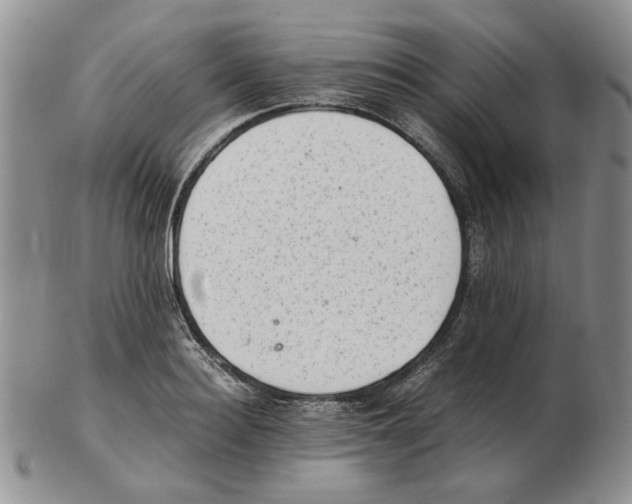 X0000102760940200809151010