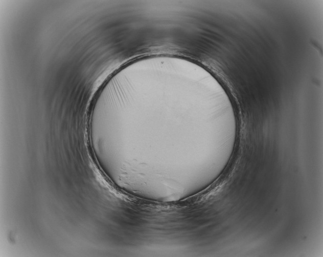 X0000102760941200809151010