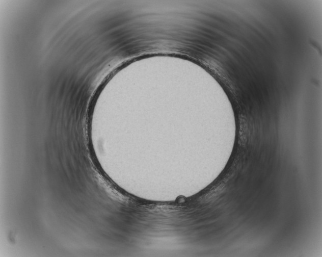 X0000102760942200809151010