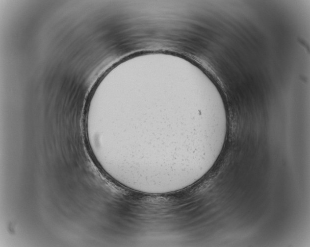 X0000102760943200809151010