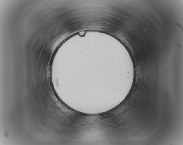 X0000102760944200809151011