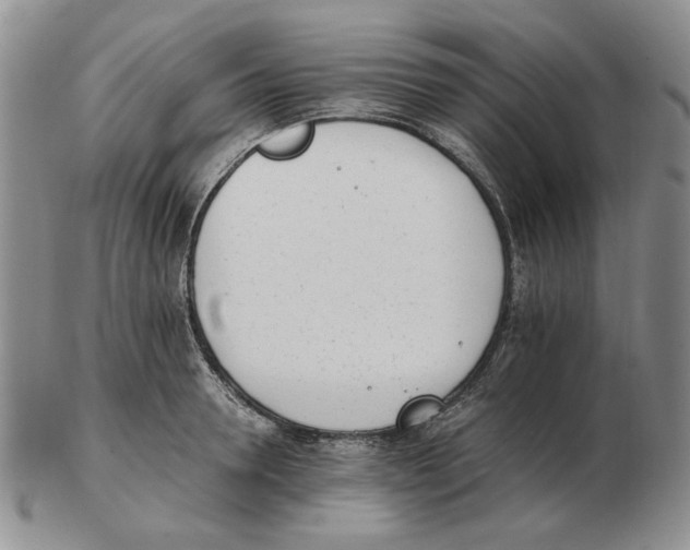 X0000102760946200809151011