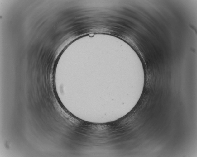 X0000102760947200809151011