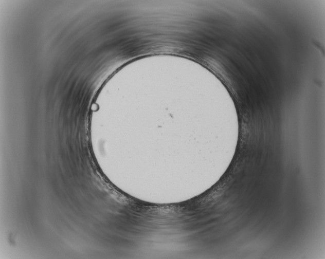 X0000102760948200809151011