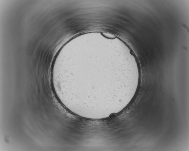 X0000102760949200809151011