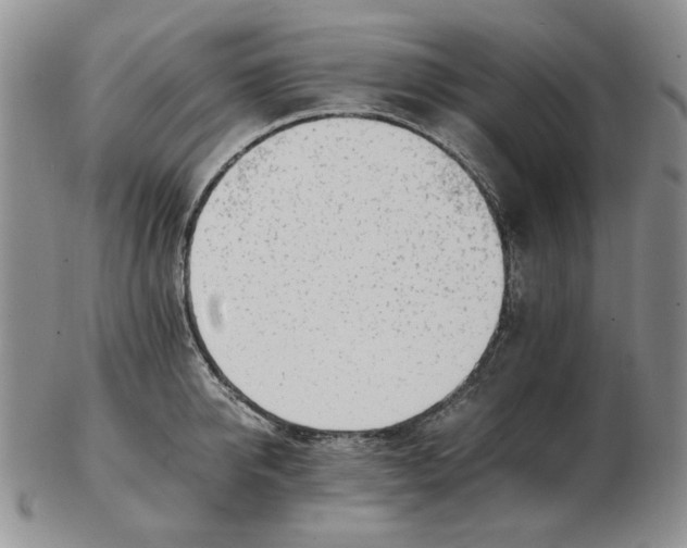 X0000102760950200809151011