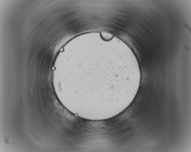 X0000102760952200809151011