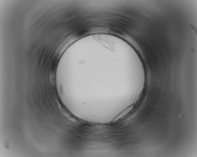 X0000102760953200809151011