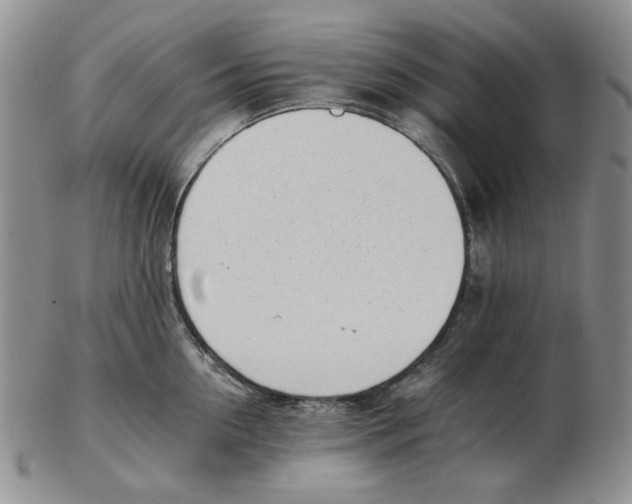 X0000102760954200809151011