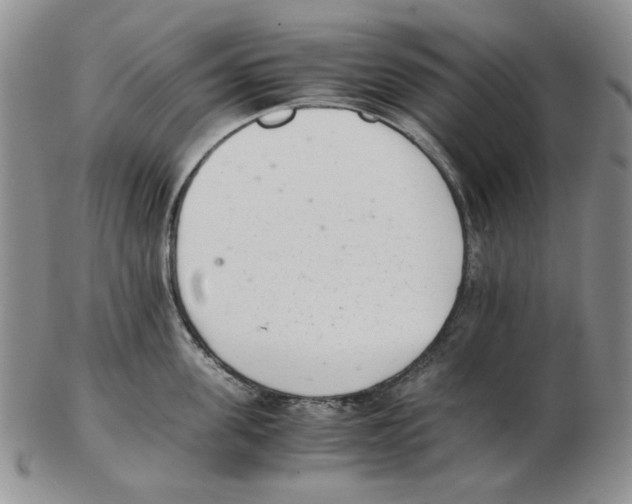 X0000102760955200809151011