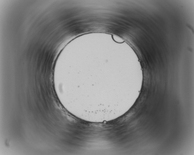 X0000102760956200809151011