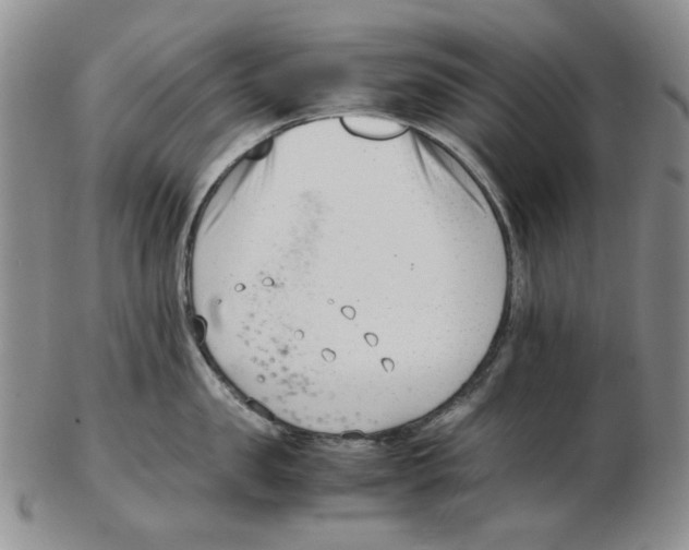 X0000102760957200809151011