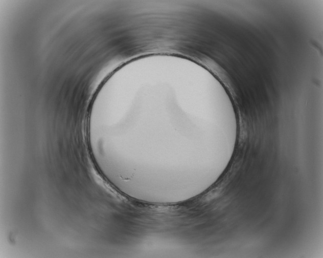 X0000102760958200809151011