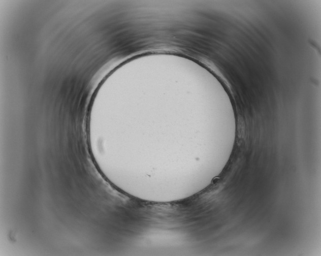 X0000102760959200809151011