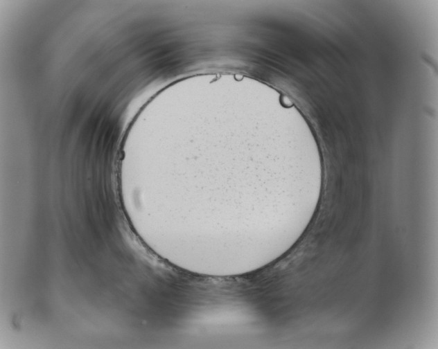 X0000102760960200809151011