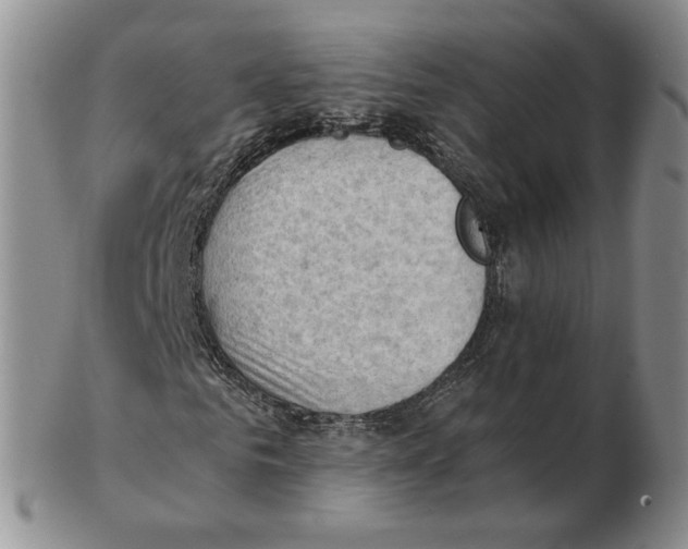 X0000102760961200809151010