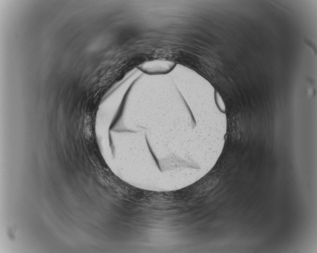 X0000102760962200809151010