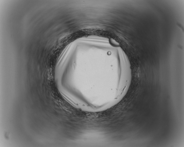 X0000102760965200809151010