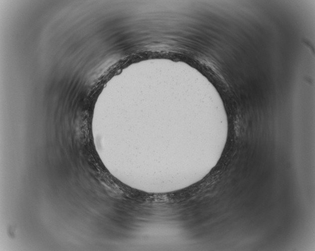 X0000102760968200809151010