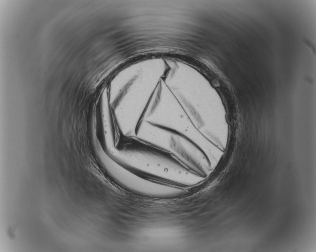 X0000102760969200809151010