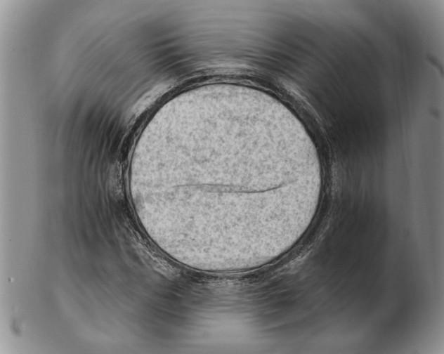 X0000102760970200809151010