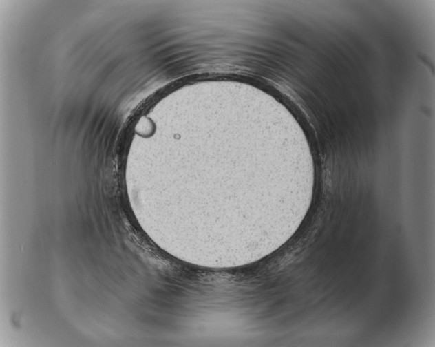 X0000102760971200809151010