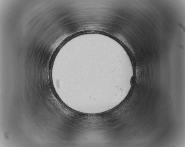 X0000102760972200809151010