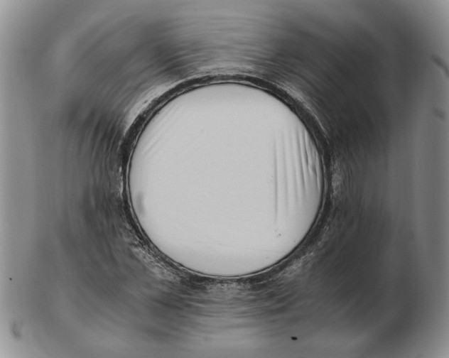 X0000102760973200809151010