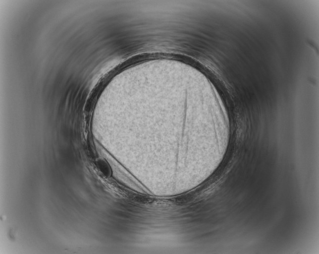 X0000102760974200809151010