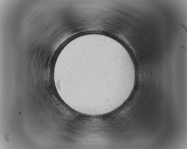 X0000102760975200809151010