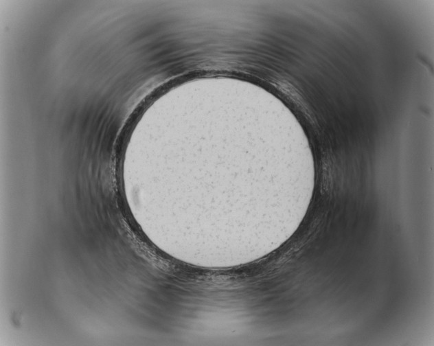 X0000102760976200809151010