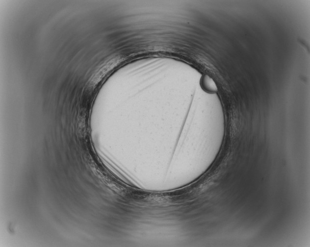 X0000102760977200809151010