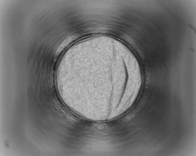 X0000102760978200809151010