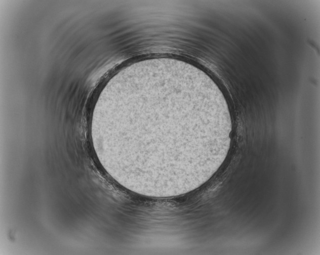 X0000102760979200809151010