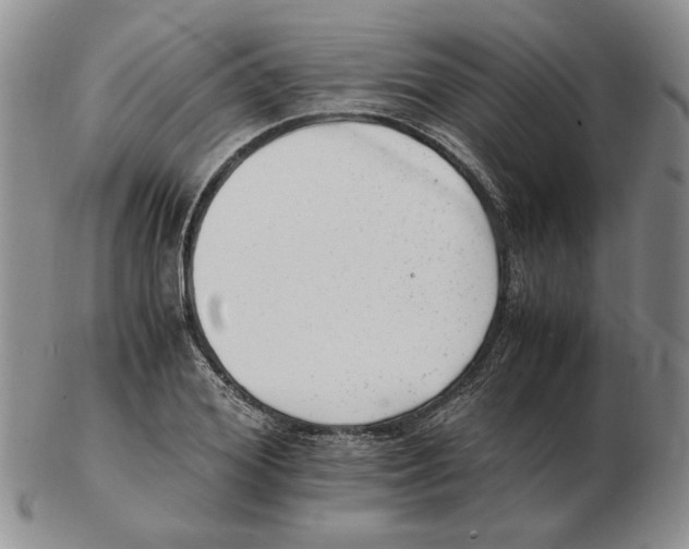 X0000102760980200809151010