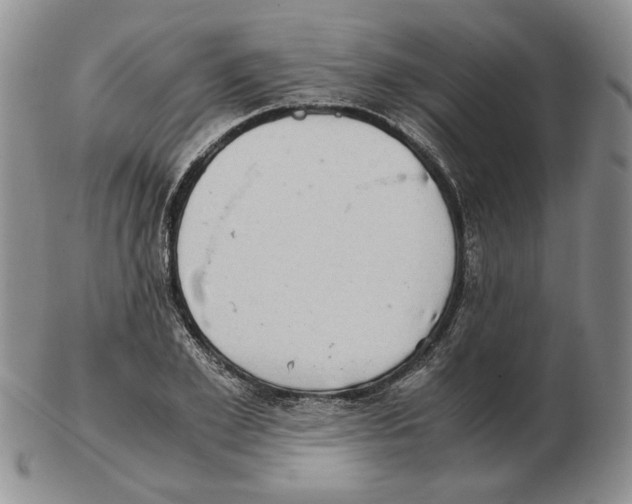 X0000102760981200809151010