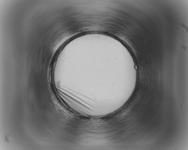 X0000102760983200809151010