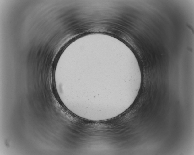 X0000102760984200809151010