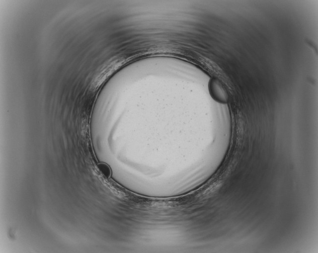 X0000102760985200809151010