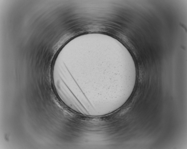 X0000102760986200809151010